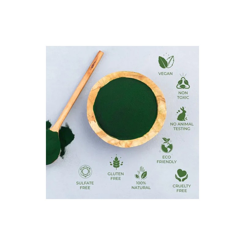 Alga Chlorella 100 Pura Orgánica En Polvo 100 Gr