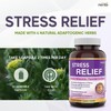 Herba Stress Relief Supplements – Natural Anxiety Relief and Anti
