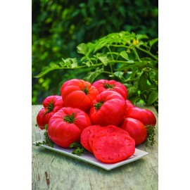 Mai's Family 500 seeds Beefsteak Tomato Seeds | NON-GMO | Heirloom | Fresh Vegetable Seeds