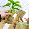 Nuyoah Rock Wool Cultivation Cubes Hydroponics Rockwool Cube Rockwool Cube