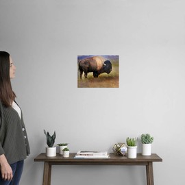 CANVAS ON DEMAND Bison Portrait II Wall Decal, Wildlife Artwork