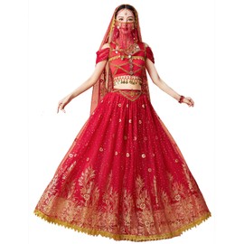 ORIDOOR Ladies Dress up Costumes Indian Aladdin Jasmine Princess Belly Dancing Bollywood Costumes Large 03-Red