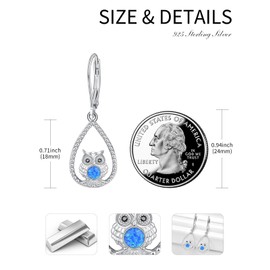 Palpitate Owl Earrings Owl Dangle Drop 925 Sterling Silver Animal Earrings Owl Gift Birthday Christmas Jewelry for Women Wife Mom Her Friends