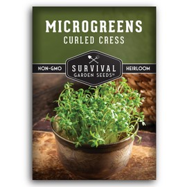 1 Pack Curled Cress Microgreens Seeds for Planting and Growing - Plant Green Leafy Micro Vegetable Plants Indoors - Grow A Mini Windowsill Garden - Non-GMO Heirloom