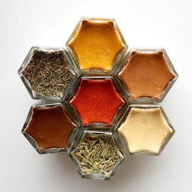 Gneiss Spice WELLNESS | Seven Antioxidant-Rich Organic Herbs & Spices to Fight Disease Small Magnetic Jars for Fridge | Boxed Gift Set (7 Jars, Silver Lids)