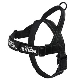 QIFBYFB No Pull Dog Harness, Black Dog Harness with 3 Adjustable Buckles for Small, Medlium, Large Dogs, L