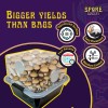 Spore Sorcery Small Beginners Mushroom Grow Kit | Indoor Grow