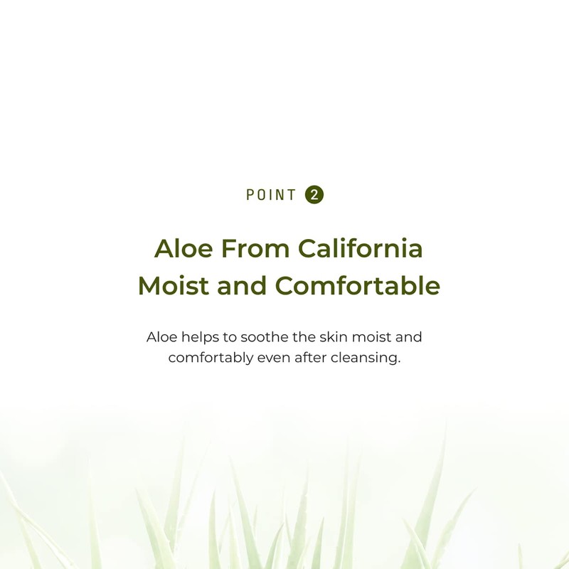 Nature Republic Soothing and Moisture Aloe Vera Cleansing Gel Cream,