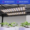 Grow Light