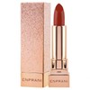 Diamond Ingredient for Shimmering Lip Expression Brick Silhouette
