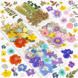 Resiners 100Pcs Flores Secas Prensadas para Moldes de Resina, Estilo Retro Flores Reales Prensadas Kit de Hojas Secas para Arte Artesanía Resina Fabricación de Joyas Scrapbook Suministros Tarjeta