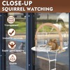 Window Squirrel Feeder, Large Squirrel Feeder for Outside,Funny Squirrel House