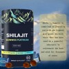 100% Shilajit Gummy Platinum-Shilajit Gummies, Pure Himalayan Platinum Shilajit 3000mg