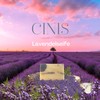 CINIS Handmade Lavender Soap - Aromatic %100 Natural Soap with