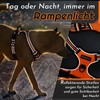 Eagloo Dog Harness for Medium Dogs, Anti-Pull Dog Harness with