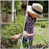 AIMALL Stainless Steel Weeder Tool with Wooden Handle, Lightweight Garden