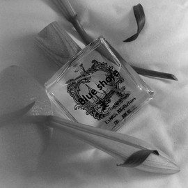 Blue Shore Niche Perfume 50mL Mediterranean Fragrance + Sample 2mL / 블루쇼어 니치향수 50mL 지중해 향 + 샘플 2mL