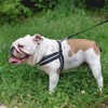 Ferplast Harness for Medium-Sized Dogs AGILA REFLEX 4 Soft Padded