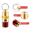 LSTOPGO 2 Pieces 1/4'' Male NPT Air Compressor Pressure Relief