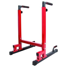 BalanceFrom Multi-Function Home Gym Exercise Dip Stand, 500lb Capacity, Red - Color: Gray