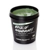 Lush Power Mask SP, 11.6 oz (315 g), Birthday Gift