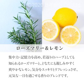 100% Natural Day Active Blend Oil 30ml Essential Oil Aroma Oil