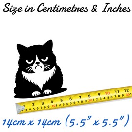 3 x Cute Grumpy Pet Cat Waterproof Vinyl Sticker - Wall Decal, Laptops, Car, Water Bottles, Motorbikes, Vans, Gifts for Cat Lovers (3, 14cm x 14cm (5.5" x 5.5"))