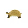 Unbranded Galápagos Tortoise Plastic Realistic Toy Figurine Replica Gift 2"
