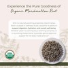 Starwest Botanicals Organic Marshmallow Root - Dried Herb for Tea,