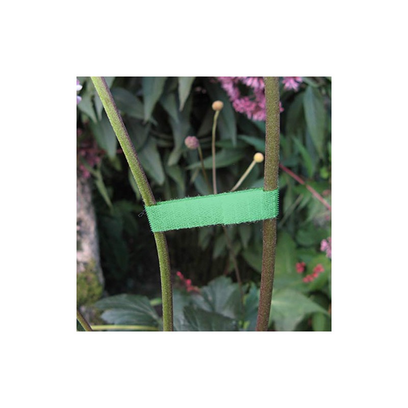 Connex FLOR78655 Plant Binder with Velcro, Multicolour, 7.5 m