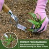 Weed Puller Tool, Hand Weeder with Good Leverage for Easy
