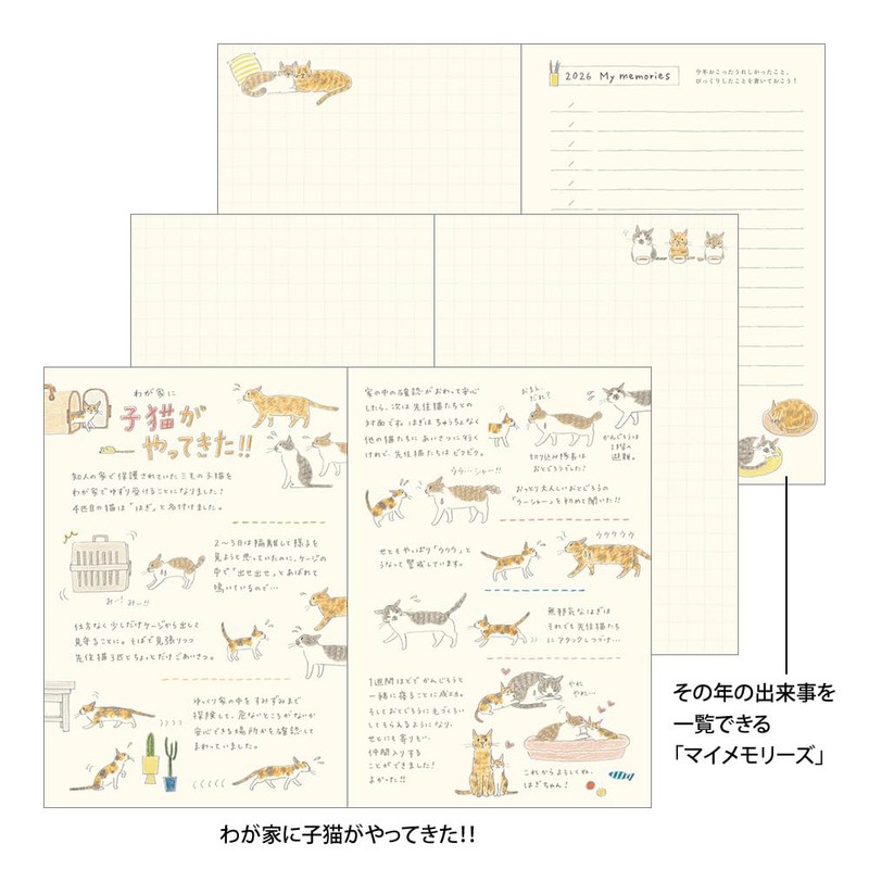 Midori Pocket Diary 2026 B6 Weekly Cat Pattern 22373006 (Starting