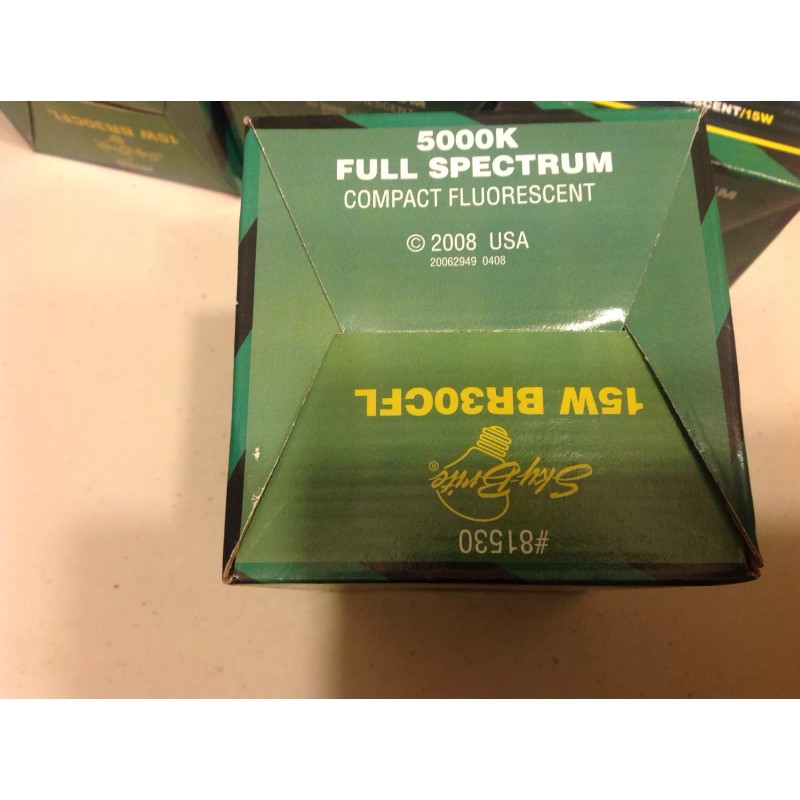 Skybrite 15 watt cfl light bulb