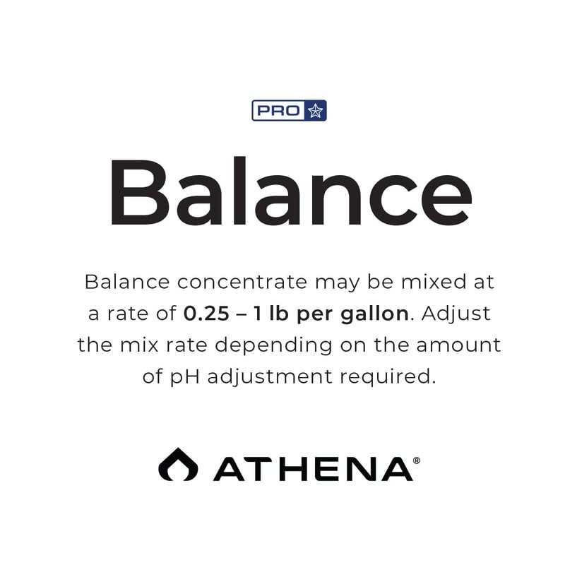Athena Pro Balance (25 lb)