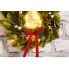 VBS Pina Fir Wreath, Plastic Fir Wreath, Diameter 30 cm,