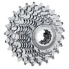 Miche Unisex's Primato 10 Speed Campagnolo Cassette, Silver, 12/29