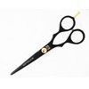 Sanguine Hairdressing Scissors 5.5" 5.5"
