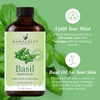 Handcraft Blends Basil Essential Oil – 1 Fl Oz –