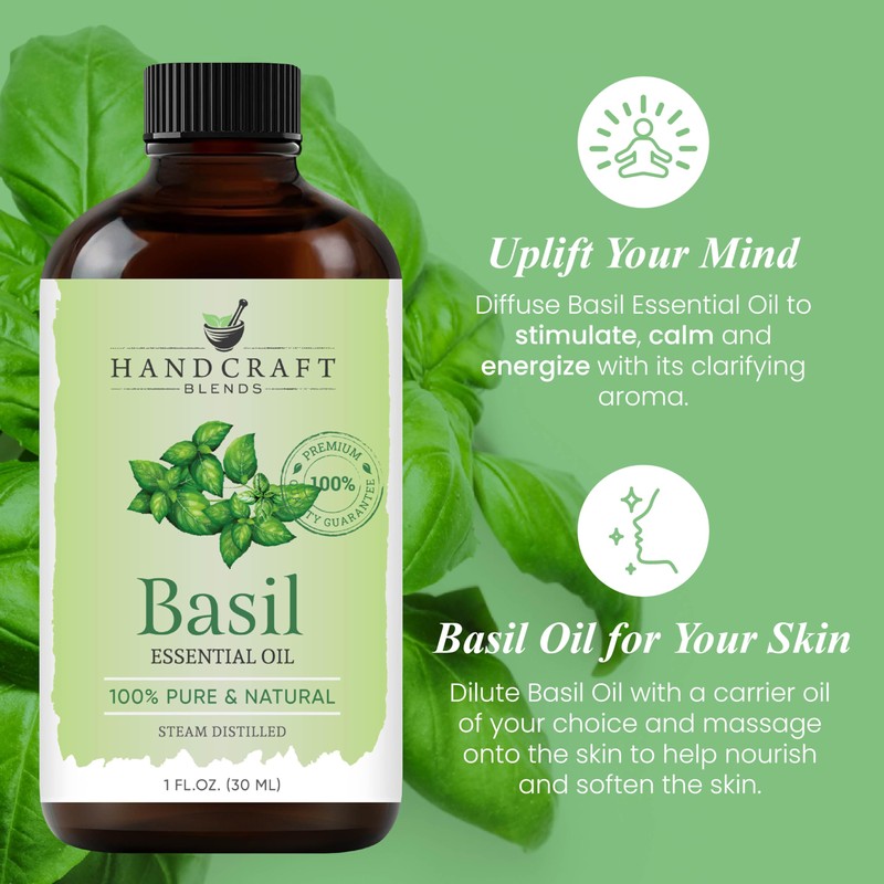 Handcraft Blends Basil Essential Oil – 1 Fl Oz –