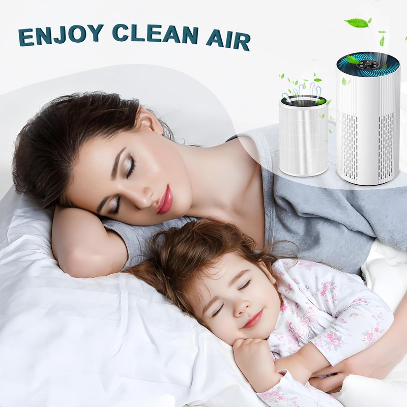 HOAXCINN Replacement Filter Compatible With ECOSELF HAP604 Air Purifiers, 3-In-1