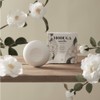 Everyone's slightly acidic shampoo bar 100g damaged hair volume care