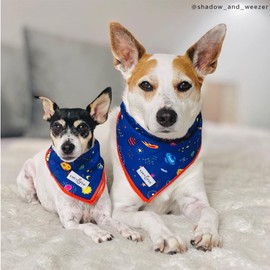 Lucy & Co. Dog Bandana - Designer Puppy Accessory for Boy and Girl Dogs. Made of 100% Polyester. Soft, Stylish and Appropriate for Any Occasion. Machine Washable.