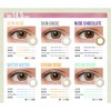 リルムーン ワンマンス (LILMOON 1MONTH) LILMOON 1MONTH スキングレージュ (度あり) -3.50 スキングレージュ