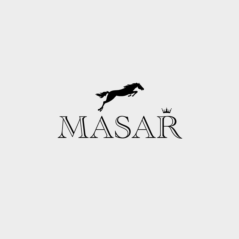 masar 23 Piece Pin Punch Set Special for Adjusting and