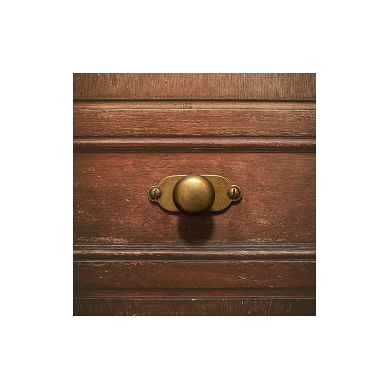 Goo-Ki Antique Brass Zinc Alloy Cabinet Knob with Backplate -