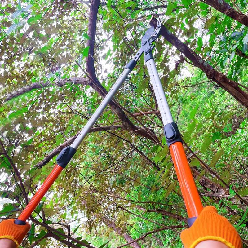 Prunrt Loppers for Tree Trimming Heavy Duty, 26-40 Inch Handle
