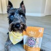 HOLI Freeze Dried Chicken Dog Treats - 100% All Natural