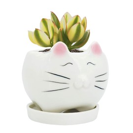 GeLive Cute Cat Succulent Planter Pot with Drainage Tray, White Ceramic Plant Container, Window Box, Unique Animal for Indoor Home Decor (White)