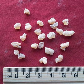 Xi Yao Peng XYP Ruxiang Ru Xiang Olibanum Frankincense 乳香 100Gram