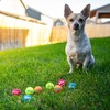 Outward Hound Squeaker Ballz – Squeaky Tiny Tennis Balls for